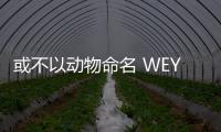 或不以動物命名 WEY P01最新尾部細節曝光