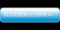 扶溝鋼塑復合拉筋帶30020B批發價格