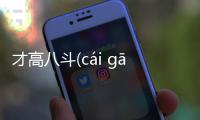 才高八斗(cái gāo bā dǒu)到底什么情況?