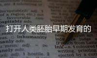 打開人類胚胎早期發育的“黑匣子”—新聞—科學網