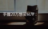 手握20萬想買SUV：威蘭達/奇駿/CR