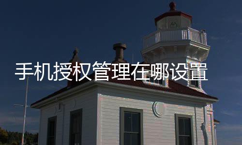 手機授權(quán)管理在哪設(shè)置 vivo（手機授權(quán)管理在哪）