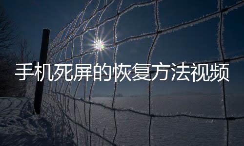 手機死屏的恢復方法視頻（手機死屏的恢復方法）