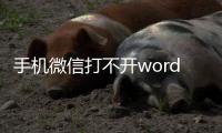 手機微信打不開word文檔怎么辦（手機微信打不開）