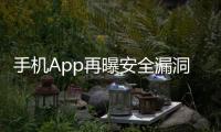 手機App再曝安全漏洞 特斯拉官方給出回應(yīng)