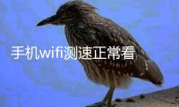 手機wifi測速正常看視頻慢（手機wifi測速）