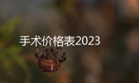 手術價格表2023