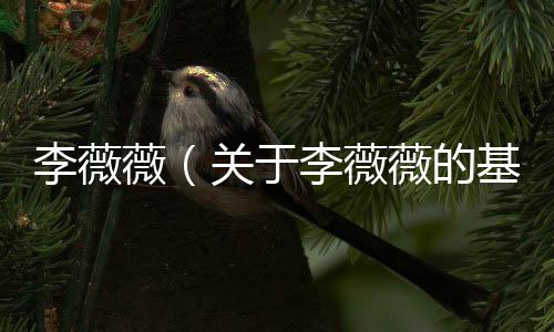 李薇薇（關于李薇薇的基本情況說明介紹）