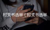 村支書選舉（村支書選舉）