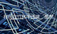村民在竹林中違建，雖然隱蔽但還是難逃“共治網(wǎng)”