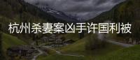 杭州殺妻案兇手許國(guó)利被執(zhí)行死刑 詳情是怎么樣的？