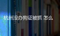 杭州沒辦狗證被抓 怎么辦理(杭州沒有狗證可以養狗嗎)