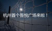 杭州首個吾悅廣場來啦！新城競得重磅地塊