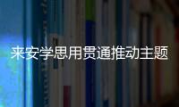 來安學(xué)思用貫通推動主題教育走深走實_