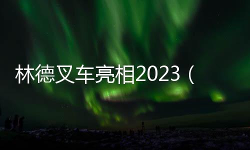 林德叉車亮相2023（第九屆）中國(guó)儲(chǔ)運(yùn)發(fā)展高峰論壇會(huì)議