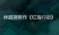 林超賢新作《紅海行動》卡司全曝光 張譯、海清主演