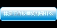 林黛玉倒拔垂楊柳是什么梗？林黛玉倒拔垂楊柳梗出處介紹