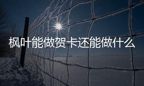 楓葉能做賀卡還能做什么？楓葉能治什么病？