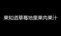 果知道草莓地里果肉果汁以強大產品力，獨領行業之先！