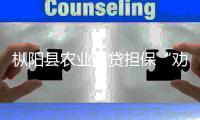 樅陽縣農(nóng)業(yè)信貸擔(dān)?！皠窀J”工作獲省表彰