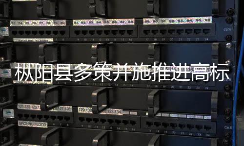 樅陽縣多策并施推進高標準農田建設民生工程