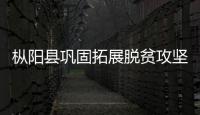 樅陽縣鞏固拓展脫貧攻堅成果同鄉村振興有效銜接春季培訓班開班