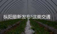 樅陽最新發布!這類交通檢測卡點一律撤銷