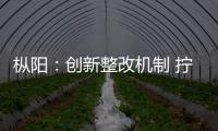 樅陽：創新整改機制 擰緊法紀“鏈條”