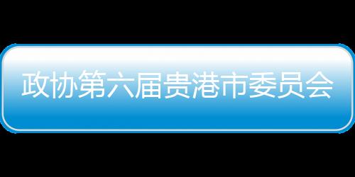 政協第六屆貴港市委員會常務委員會第十二次會議召開