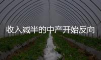 收入減半的中產(chǎn)開始反向換房自救：大戶型換成小戶型如何操作？