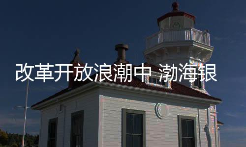 改革開放浪潮中 渤海銀行的金融實(shí)踐