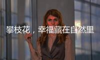 攀枝花，幸福藏在自然里