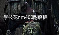 攀枝花nm400耐磨板nm400耐磨鋼板價格報價