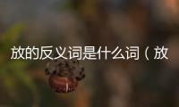 放的反義詞是什么詞（放的反義詞是什么）