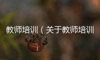 教師培訓（關于教師培訓的基本情況說明介紹）