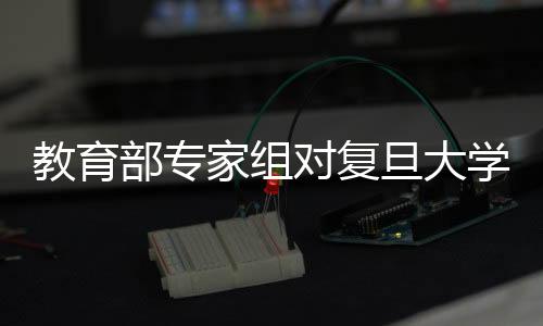 教育部專家組對復旦大學開展實驗室安全現場檢查工作