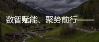 數智賦能、聚勢前行——企業“投融建管”一體化平臺