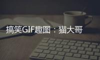 搞笑GIF趣圖：貓大哥，就我這小身板能給個痛快不？