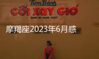 摩羯座2023年6月感情運勢 2023年6月摩羯座愛情運程詳解