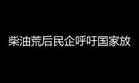 柴油荒后民企呼吁國家放開原油進口權