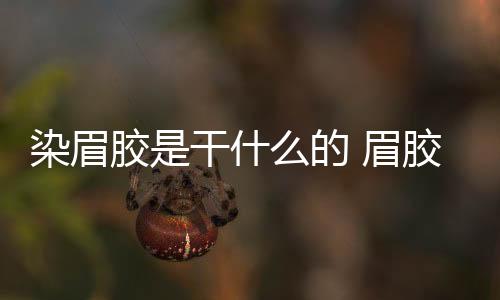 染眉膠是干什么的 眉膠和染眉膏的區別