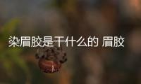 染眉膠是干什么的 眉膠和染眉膏的區別