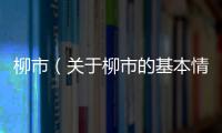 柳市（關于柳市的基本情況說明介紹）