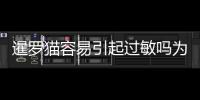 暹羅貓容易引起過敏嗎為什么(暹羅貓容易引起過敏嗎怎么辦)