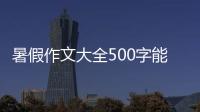 暑假作文大全500字能寫什么（暑假作文大全500字）