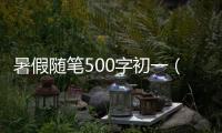 暑假隨筆500字初一（暑假隨筆500字）