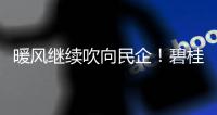 暖風繼續吹向民企！碧桂園、美的單日公布210億并購融資額度