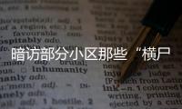 暗訪部分小區(qū)那些“橫尸”已久的舊家具