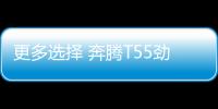 更多選擇 奔騰T55勁享系列4月27日上市