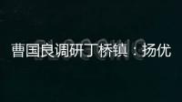 曹?chē)?guó)良調(diào)研丁橋鎮(zhèn)：揚(yáng)優(yōu)勢(shì)補(bǔ)短板強(qiáng)特色 推動(dòng)高質(zhì)量發(fā)展取得新突破